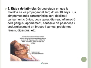  3. Etapa de latència: és una etapa en que la
malaltia es va propagant al llarg d’uns 10 anys. Els
símptomes més característics són: debilitat i
cansament crònics, poca gana, diarrea, inflamació
dels gànglis, aprimament, sensació de pesadesa i
endormiscament en braços i cames, problemes
renals, digestius, etc.
 