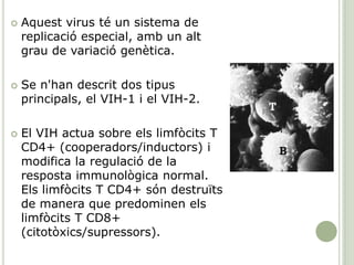  Aquest virus té un sistema de
replicació especial, amb un alt
grau de variació genètica.
 Se n'han descrit dos tipus
principals, el VIH-1 i el VIH-2.
 El VIH actua sobre els limfòcits T
CD4+ (cooperadors/inductors) i
modifica la regulació de la
resposta immunològica normal.
Els limfòcits T CD4+ són destruïts
de manera que predominen els
limfòcits T CD8+
(citotòxics/supressors).
 