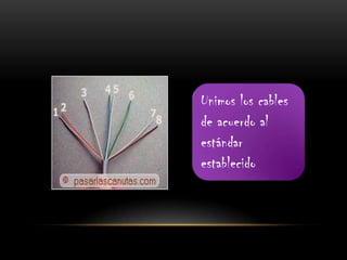 Unimos los cables de acuerdo al estándar  establecido