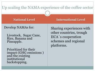 Medina. Zamora Agricultural NAMA in Costa Rica july 2012