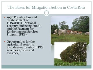 Medina. Zamora Agricultural NAMA in Costa Rica july 2012