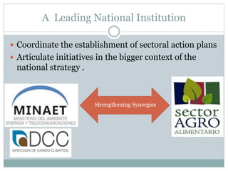 Medina. Zamora Agricultural NAMA in Costa Rica july 2012