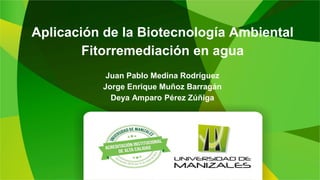 Aplicación de la Biotecnología Ambiental
Fitorremediación en agua
Juan Pablo Medina Rodríguez
Jorge Enrique Muñoz Barragán
Deya Amparo Pérez Zúñiga
 