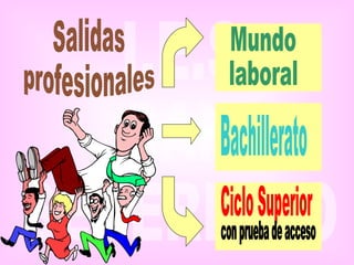 Salidas profesionales Mundo laboral Bachillerato Ciclo Superior con prueba de acceso 