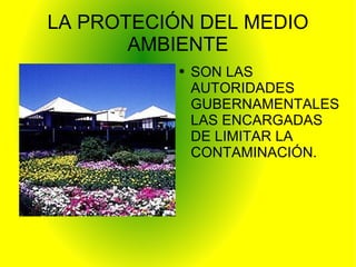 LA PROTECIÓN DEL MEDIO AMBIENTE SON LAS AUTORIDADES GUBERNAMENTALES LAS ENCARGADAS DE LIMITAR LA CONTAMINACIÓN. 