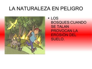 LA NATURALEZA EN PELIGRO LOS BOSQUES:CUANDO SE TALAN PROVOCAN LA EROSIÓN DEL SUELO. 
