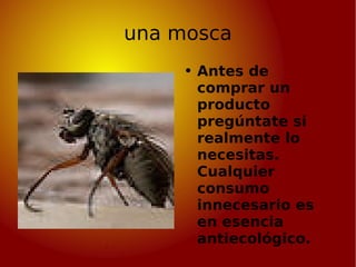 una mosca Antes de comprar un producto pregúntate si realmente lo necesitas. Cualquier consumo innecesario es en esencia antiecológico.