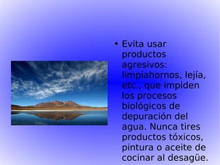 Evita usar productos agresivos: limpiahornos, lejía, etc., que impiden los procesos biológicos de depuración del agua. Nunca tires productos tóxicos, pintura o aceite de cocinar al desagüe.