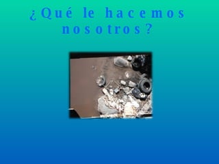 ¿Qué le hacemos nosotros? 