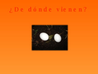 ¿De dónde vienen? 