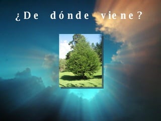 ¿De  dónde  viene? 