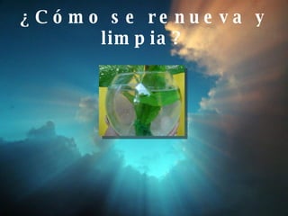 ¿Cómo se renueva y limpia? 