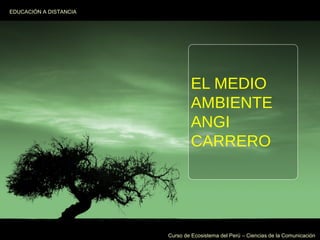 EDUCACIÓN A DISTANCIA

EL MEDIO
AMBIENTE
ANGI
CARRERO

Curso de Ecosistema del Perú – Ciencias de la Comunicación

 