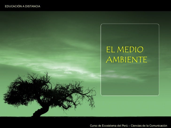 EL MEDIO AMBIENTE 