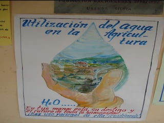  Medio Ambiente Usenda