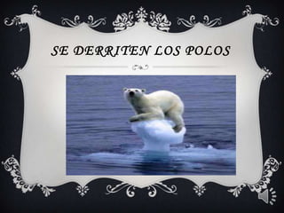 Se derriten los polos