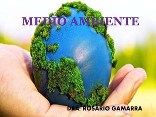 DRA: ROSARIO GAMARRA
MEDIO AMBIENTE
 