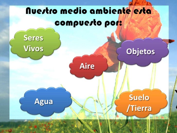 Medio ambiente 05dejunio diamundial
