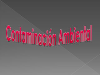 Contaminación Ambiental<br />