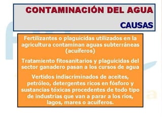 Contaminación del Agua 