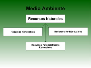 Medio Ambiente Recursos Naturales Recursos Renovables Recursos No Renovables Recursos Potencialmente Renovables 
