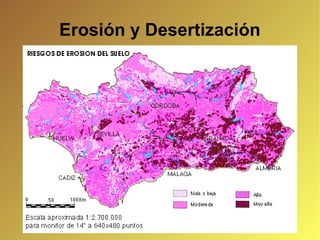 Erosión y Desertización 