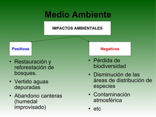 Medio Ambiente Restauración y reforestación de bosques. Vertido aguas depuradas Abandono canteras (humedal improvisado)‏ Pérdida de biodiversidad Disminución de las áreas de distribución de especies Contaminación atmosférica etc IMPACTOS AMBIENTALES Positivos Negativos 
