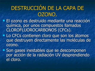 DESTRUCCIÓN DE LA CAPA DE OZONO. El ozono es destruido mediante una reacción química, por unos compuestos llamados CLOROFLUOROCARBONOS (CFCs). Lo CFCs contienen cloro que son los átomos que destruyen directamente las moléculas de ozono. Son gases inestables que se descomponen por acción de la radiación UV desprendiendo el cloro. 