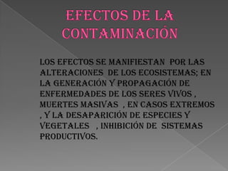 CAUSANTES DE LA CONTAMINACIÓNLA CONTAMINACIÓN DE QUÍMICOS  SE REFIERE A COMPUESTOS PROVENIENTES  DE LA INDUSTRIA  QUÍMICA.