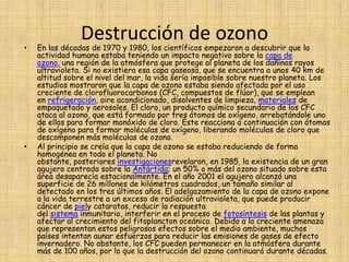 Hacia 1925, August Thienemann, Charles Elton y otros impulsaron la ecología de las comunidades. Trabajaron con conceptos como el de cadena alimentaría, o el de pirámide de especies, en la que el número de individuos disminuye progresivamente desde la base hasta la cúspide, desde las plantas hasta los animales herbívoros y los carnívoros.problemasPROBLEMAS MEDIOAMBIENTALES.
