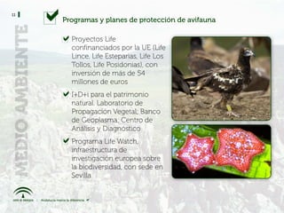 11
     Programas y planes de protección de avifauna

       Proyectos Life
       confinanciados por la UE (Life
       Lince, Life Esteparias, Life Los
       Tollos, Life Posidonias), con
       inversión de más de 54
       millones de euros
       I+D+i para el patrimonio
       natural. Laboratorio de
       Propagación Vegetal; Banco
       de Geoplasma; Centro de
       Análisis y Diagnóstico
       Programa Life Watch,
       infraestructura de
       investigación europea sobre
       la biodiversidad, con sede en
       Sevilla
 