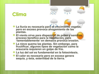 Clima

   La lluvia es necesaria para el crecimiento vegetal,
    pero en exceso provoca ahogamiento de las
    plantas.
   El viento sirve para dispersión de polen y semillas,
    proceso benéfico para la vegetación, pero
    -lamentablemente- en demasía provoca erosión.
   La nieve quema las plantas. Sin embargo, para
    fructificar, algunos tipos de vegetación como la
    araucaria requieren un golpe de frío.
   La luz del sol es fundamental en la fotosíntesis.
   El calor es necesario pero en exceso genera
    sequía, y ésta, esterilidad de la tierra.
 