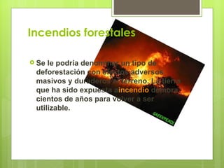 Incendios forestales

 Se le podría denominar un tipo de
 deforestación con efectos adversos
 masivos y duraderos al terreno. La tierra
 que ha sido expuesta aincendio demora
 cientos de años para volver a ser
 utilizable.
 