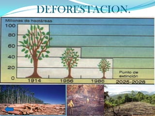 DEFORESTACION.
 