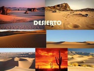 DESIERTO
 
