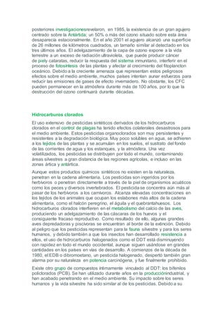 posteriores investigacionesrevelaron, en 1985, la existencia de un gran agujero
centrado sobre la Antártida; un 50% o más del ozono situado sobre esta área
desaparecía estacionalmente. En el año 2001 el agujero alcanzó una superficie
de 26 millones de kilómetros cuadrados, un tamaño similar al detectado en los
tres últimos años. El adelgazamiento de la capa de ozono expone a la vida
terrestre a un exceso de radiación ultravioleta, que puede producir cáncer
de piely cataratas, reducir la respuesta del sistema inmunitario, interferir en el
proceso de fotosíntesis de las plantas y afectar al crecimiento del fitoplancton
oceánico. Debido a la creciente amenaza que representan estos peligrosos
efectos sobre el medio ambiente, muchos países intentan aunar esfuerzos para
reducir las emisiones de gases de efecto invernadero. No obstante, los CFC
pueden permanecer en la atmósfera durante más de 100 años, por lo que la
destrucción del ozono continuará durante décadas.




Hidrocarburos clorados
El uso extensivo de pesticidas sintéticos derivados de los hidrocarburos
clorados en el control de plagas ha tenido efectos colaterales desastrosos para
el medio ambiente. Estos pesticidas organoclorados son muy persistentes y
resistentes a la degradación biológica. Muy poco solubles en agua, se adhieren
a los tejidos de las plantas y se acumulan en los suelos, el sustrato del fondo
de las corrientes de agua y los estanques, y la atmósfera. Una vez
volatilizados, los pesticidas se distribuyen por todo el mundo, contaminando
áreas silvestres a gran distancia de las regiones agrícolas, e incluso en las
zonas ártica y antártica.
Aunque estos productos químicos sintéticos no existen en la naturaleza,
penetran en la cadena alimentaria. Los pesticidas son ingeridos por los
herbívoros o penetran directamente a través de la piel de organismos acuáticos
como los peces y diversos invertebrados. El pesticida se concentra aún más al
pasar de los herbívoros a los carnívoros. Alcanza elevadas concentraciones en
los tejidos de los animales que ocupan los eslabones más altos de la cadena
alimentaria, como el halcón peregrino, el águila y el quebrantahuesos. Los
hidrocarburos clorados interfieren en el metabolismo del calcio de las aves,
produciendo un adelgazamiento de las cáscaras de los huevos y el
consiguiente fracaso reproductivo. Como resultado de ello, algunas grandes
aves depredadoras y piscívoras se encuentran al borde de la extinción. Debido
al peligro que los pesticidas representan para la fauna silvestre y para los seres
humanos, y debido también a que los insectos han desarrollado resistencia a
ellos, el uso de hidrocarburos halogenados como el DDT está disminuyendo
con rapidez en todo el mundo occidental, aunque siguen usándose en grandes
cantidades en los países en vías de desarrollo. A comienzos de la década de
1980, el EDB o dibromoetano, un pesticida halogenado, despertó también gran
alarma por su naturaleza en potencia carcinógena, y fue finalmente prohibido.
Existe otro grupo de compuestos íntimamente vinculado al DDT: los bifenilos
policlorados (PCB). Se han utilizado durante años en la producciónindustrial, y
han acabado penetrando en el medio ambiente. Su impacto sobre los seres
humanos y la vida silvestre ha sido similar al de los pesticidas. Debido a su
 