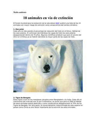 Medio ambiente


            10 animales en vía de extinción
El Fondo mundial para la protección de la naturaleza WWF publicó una lista de los 10
animales con mayor riesgo de extinción como consecuencia del cambio climático.

1. Oso polar
Cada año es más grande el porcentaje de reducción del hielo en el Ártico, hábitat de
los osos polares. Si continúan derritiéndose las capas de hielo los osos polares
desaparecerán dentro de 75 años. Algunos científicos predicen que para el verano del
2013 en el Ártico ya se habrán derretido la mayor parte de las capas de hielo.




2. Tigre de Bengala
Estos tigres viven en los manglares ubicados entre Bangladesh y la India. Cada año el
crecimiento del nivel del mar es de 4 milímetros, se prevé que para el 2060 el hábitat
de estos animales estará destruído y como consecuencia desaparecerán el 70% de los
Tigres de Bengala. Por otra parte, la comercialización indiscriminada de esta especie en
países como China es otro factor importante de la extinción de estos animales.
 