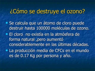 ¿Cómo se destruye el ozono? Se calcula que un átomo de cloro puede destruir hasta 100000 moléculas de ozono. El cloro  no existía en la atmósfera de forma natural ,pero aumentó considerablemente en las últimas décadas. La producción media de CFCs en el mundo es de 0.17 Kg por persona y año.  