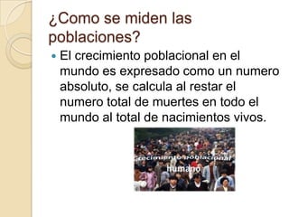 ¿Como se miden las
poblaciones?
   El crecimiento poblacional en el
    mundo es expresado como un numero
    absoluto, se calcula al restar el
    numero total de muertes en todo el
    mundo al total de nacimientos vivos.
 