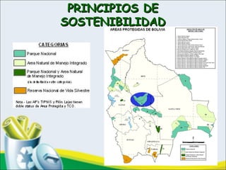 PRINCIPIOS DEPRINCIPIOS DE
SOSTENIBILIDADSOSTENIBILIDAD
 