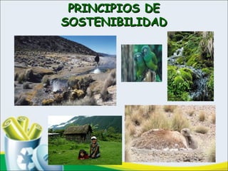PRINCIPIOS DEPRINCIPIOS DE
SOSTENIBILIDADSOSTENIBILIDAD
 