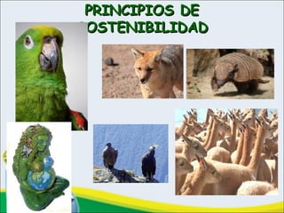 PRINCIPIOS DEPRINCIPIOS DE
SOSTENIBILIDADSOSTENIBILIDAD
 