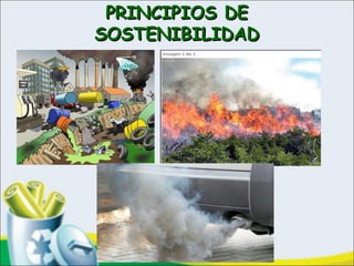 PRINCIPIOS DEPRINCIPIOS DE
SOSTENIBILIDADSOSTENIBILIDAD
 