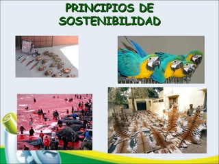 PRINCIPIOS DEPRINCIPIOS DE
SOSTENIBILIDADSOSTENIBILIDAD
 