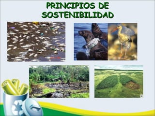 PRINCIPIOS DEPRINCIPIOS DE
SOSTENIBILIDADSOSTENIBILIDAD
 