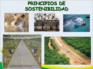 PRINCIPIOS DEPRINCIPIOS DE
SOSTENIBILIDADSOSTENIBILIDAD
 