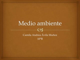 Camila Andrea Ávila Muñoz
10°B
 