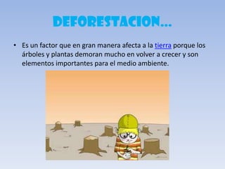 DEFORESTACION…
• Es un factor que en gran manera afecta a la tierra porque los
árboles y plantas demoran mucho en volver a crecer y son
elementos importantes para el medio ambiente.
 