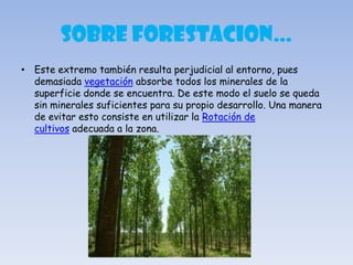 SOBRE FORESTACION…
• Este extremo también resulta perjudicial al entorno, pues
demasiada vegetación absorbe todos los minerales de la
superficie donde se encuentra. De este modo el suelo se queda
sin minerales suficientes para su propio desarrollo. Una manera
de evitar esto consiste en utilizar la Rotación de
cultivos adecuada a la zona.
 