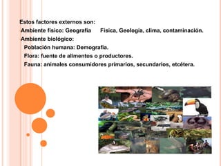 Estos factores externos son:
•Ambiente

físico: Geografía

•Ambiente

Física, Geología, clima, contaminación.

biológico:

Población humana: Demografía.
Flora: fuente de alimentos o productores.
Fauna: animales consumidores primarios, secundarios, etcétera.

 